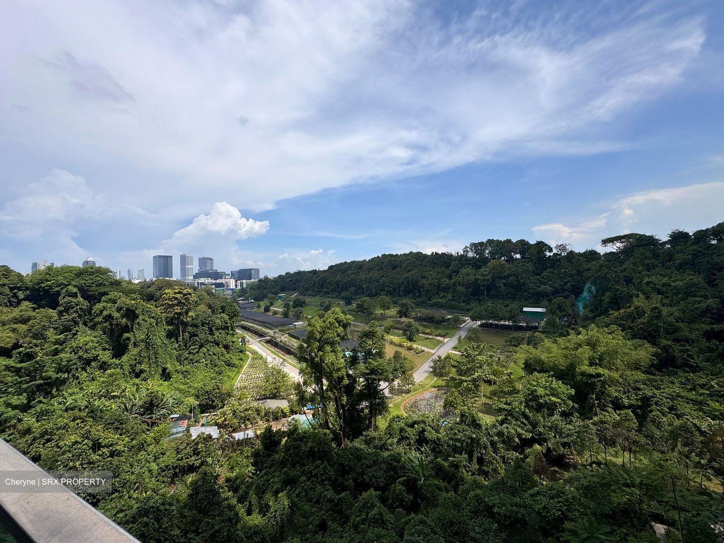 Normanton Park (D5), Apartment #557859611